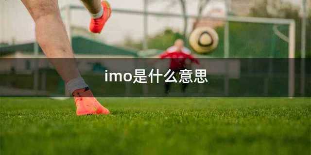 imo是什么意思