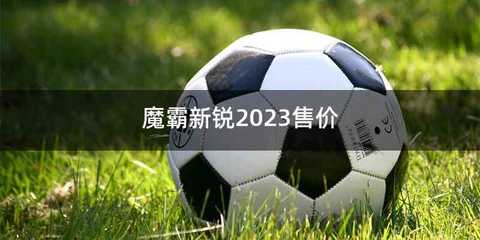 魔霸新锐2023售价