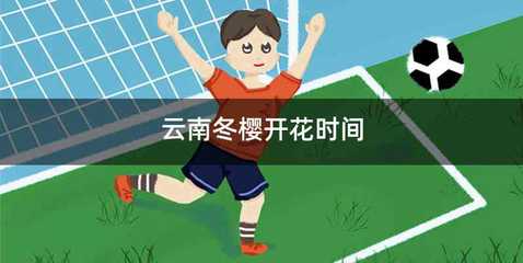 云南冬樱开花时间