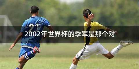 2002年世界杯的季军是那个对