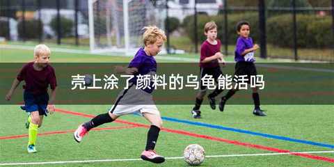 壳上涂了颜料的乌龟能活吗