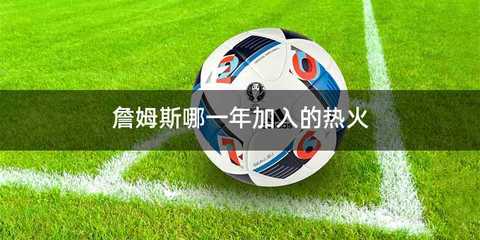 詹姆斯哪一年加入的热火