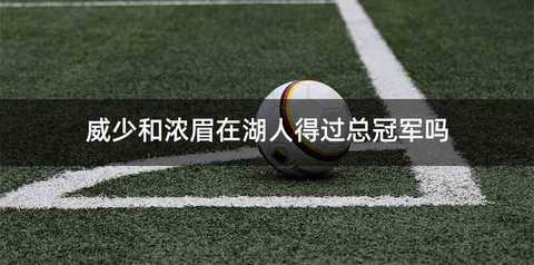 威少和浓眉在湖人得过总冠军吗