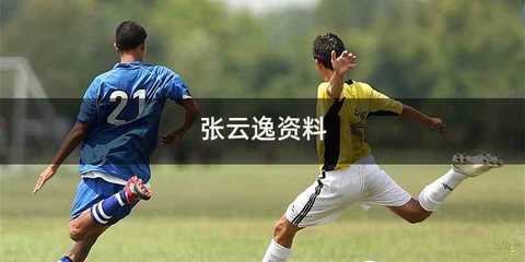 张云逸资料
