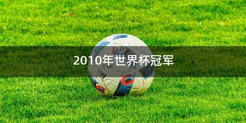 2010年世界杯冠军