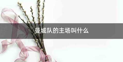 曼城队的主场叫什么