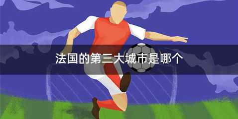 法国的第三大城市是哪个