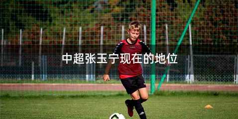 中超张玉宁现在的地位