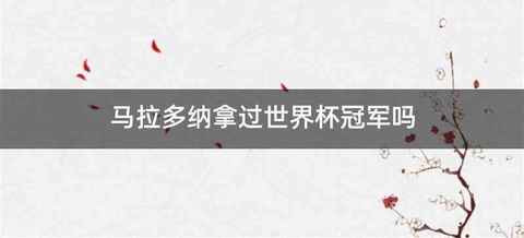 马拉多纳拿过世界杯冠军吗