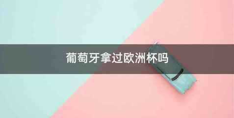 葡萄牙拿过欧洲杯吗