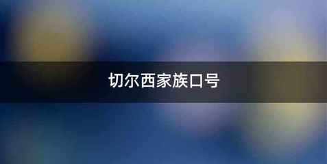 切尔西家族口号