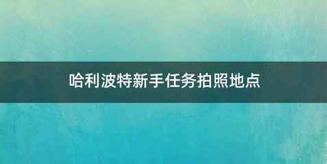 哈利波特新手任务拍照地点
