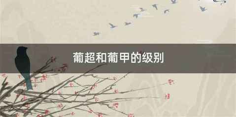 葡超和葡甲的级别
