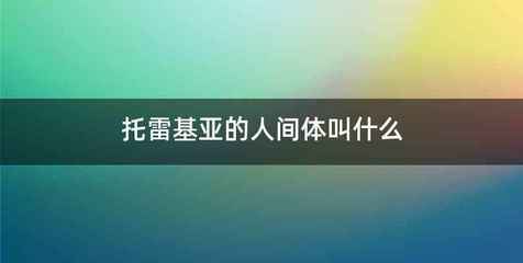 托雷基亚的人间体叫什么
