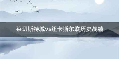 莱切斯特城vs纽卡斯尔联历史战绩