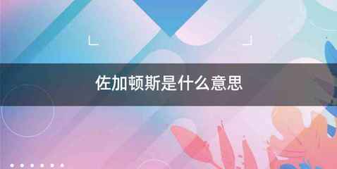 佐加顿斯是什么意思