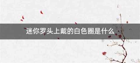 迷你罗头上戴的白色圈是什么