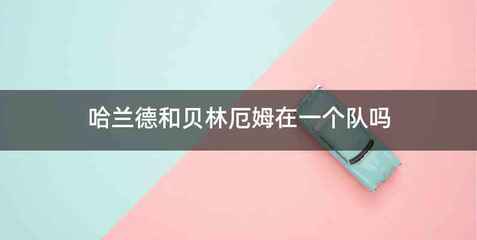 哈兰德和贝林厄姆在一个队吗