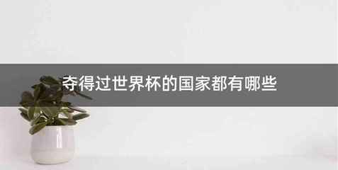 夺得过世界杯的国家都有哪些
