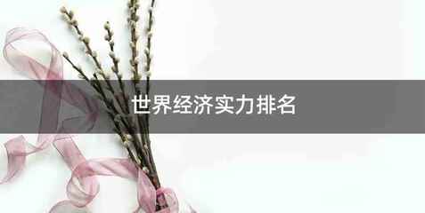世界经济实力排名