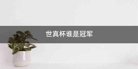 世真杯谁是冠军