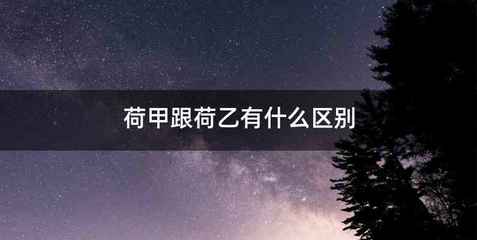 荷甲跟荷乙有什么区别