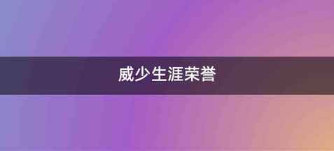 威少生涯荣誉