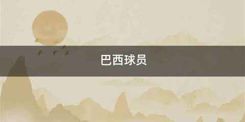 巴西球员