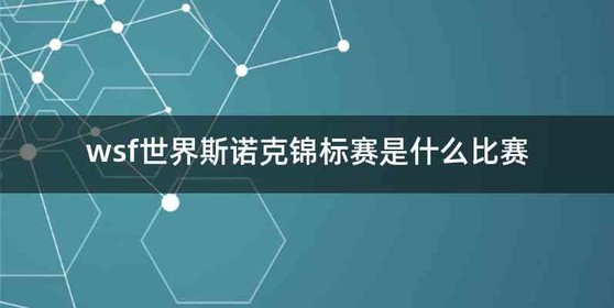 wsf世界斯诺克锦标赛是什么比赛