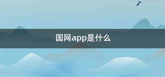 国网app是什么
