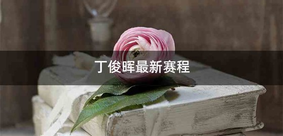 丁俊晖最新赛程