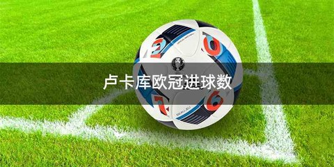 卢卡库欧冠进球数