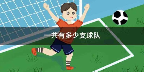 一共有多少支球队