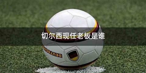 切尔西现任老板是谁