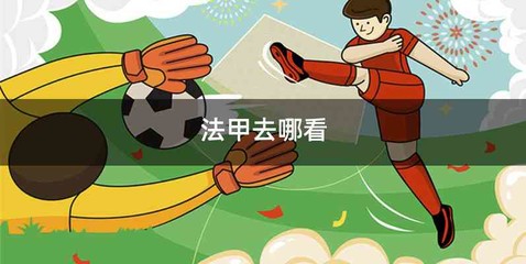 法甲去哪看