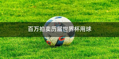 百万拍卖历届世界杯用球