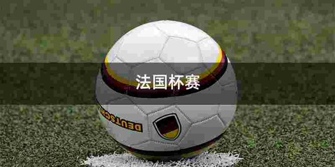 法国杯赛