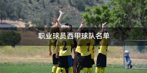 职业球员西甲球队名单