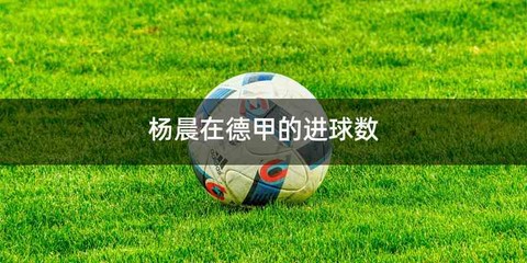 杨晨在德甲的进球数