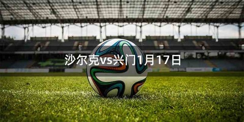 沙尔克vs兴门1月17日