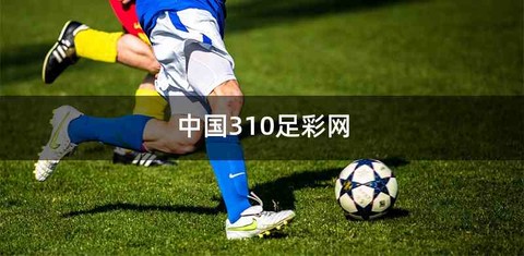 中国310足彩网