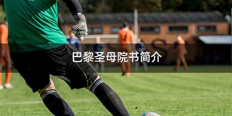 巴黎圣母院书简介