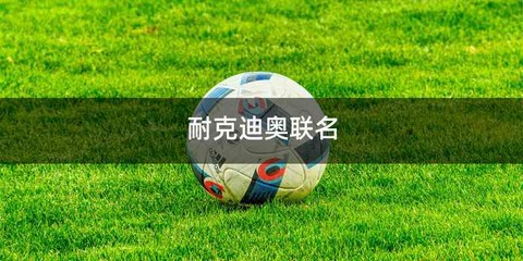 耐克迪奥联名
