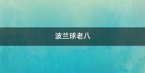 波兰球老八