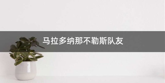 马拉多纳那不勒斯队友