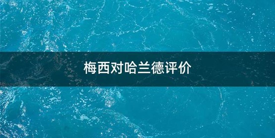梅西对哈兰德评价