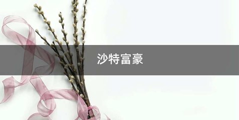 沙特富豪