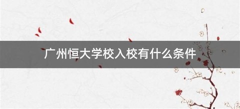 广州恒大学校入校有什么条件