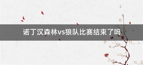 诺丁汉森林vs狼队比赛结束了吗