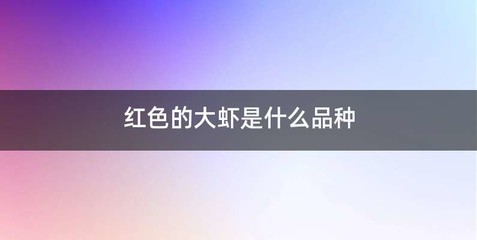 红色的大虾是什么品种